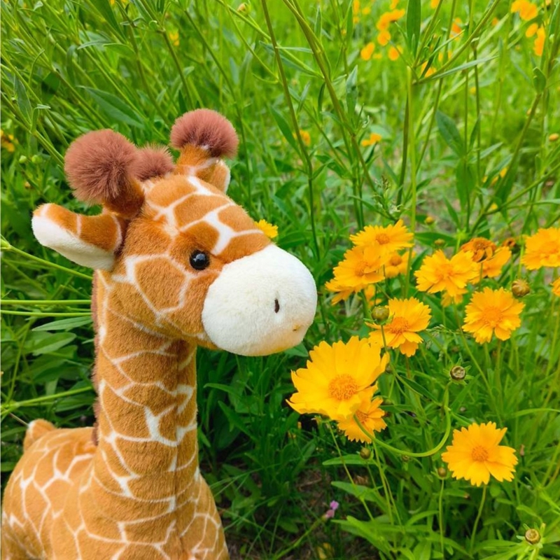 Very Soft Giraffe Plush Toy Fo - đánh giá và giá Kids Toys Very