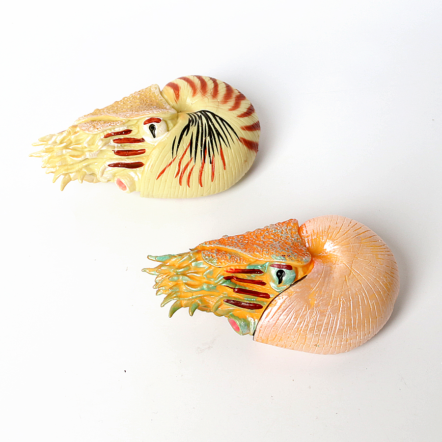 Plastic Prehistoric Sea Creatu - đánh giá và giá Kids Toys Under 1 Year