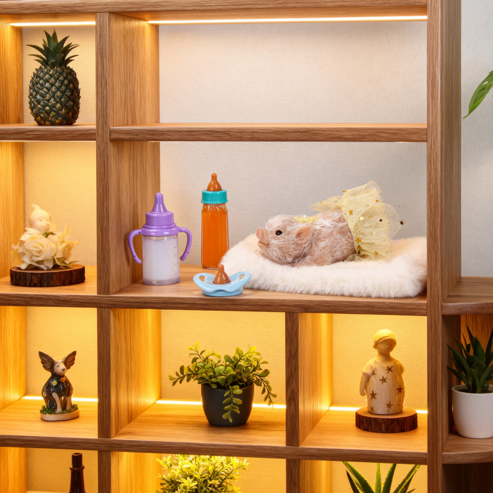 Mini Silicone Animal Piggy Bab - đánh giá và giá Kids Toys House