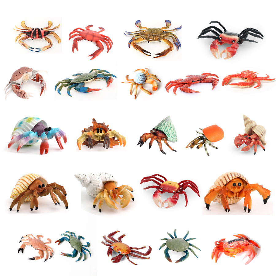 Realistic Ocean Animals Hermit - đánh giá và giá Kids Toys Under 1 Year