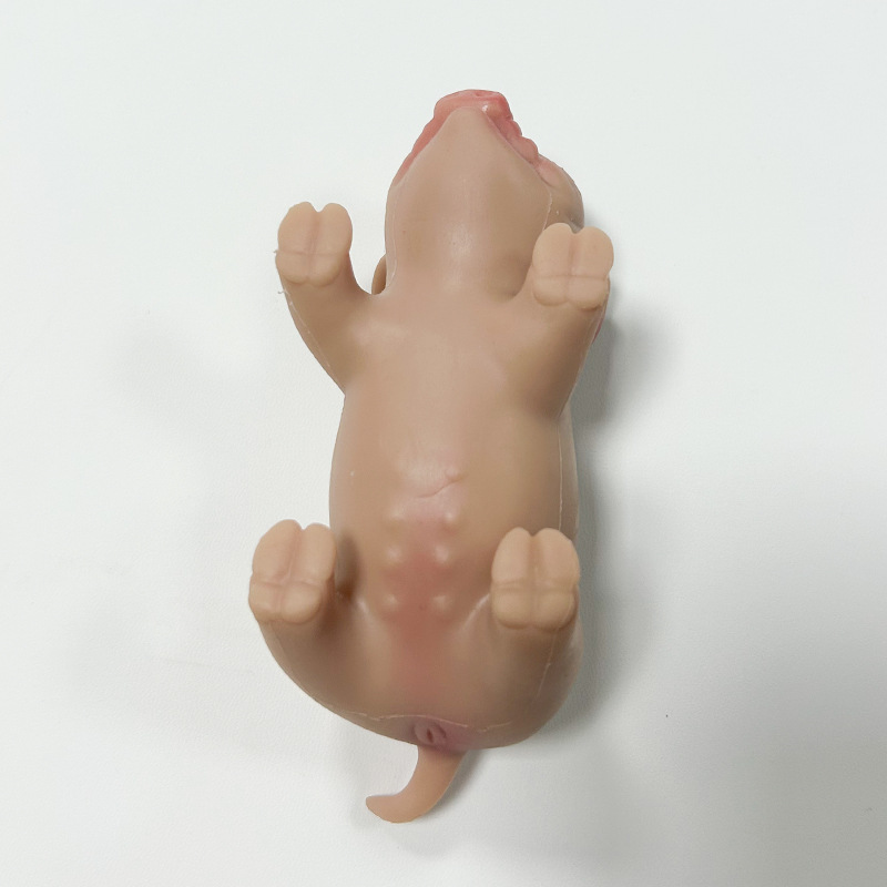 Cute Soft Silicone Reborn Doll - đánh giá và giá Kids Toys House